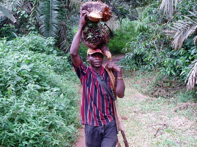 Peasant Farmer (Photo: Njei M.T)